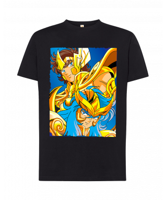 Caballeros del Zodiaco