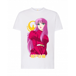 Caballeros del Zodiaco